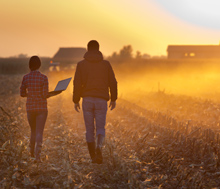 Industry Insights: Agribusiness - Farm Forward and the New Evolution of this Emerging Vertical